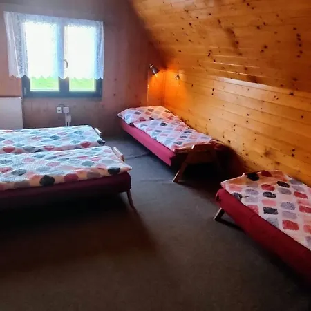Kemp Vysoka Lipa Camping